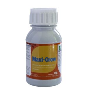 maxi-grow-250cc